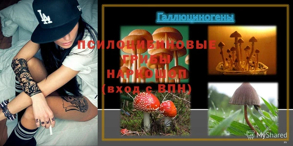 первитин Белокуриха