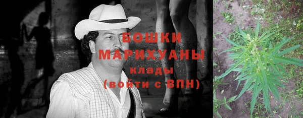 первитин Белокуриха