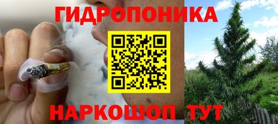 PSILOCYBIN Нальчик