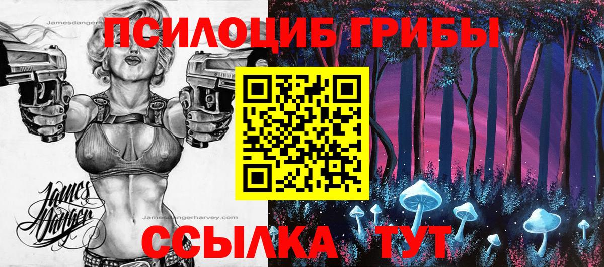 Сердобск  Галлюциногенные грибы Magic Shrooms  Псилоцибиновые грибы мухоморы  Вход с VPN 